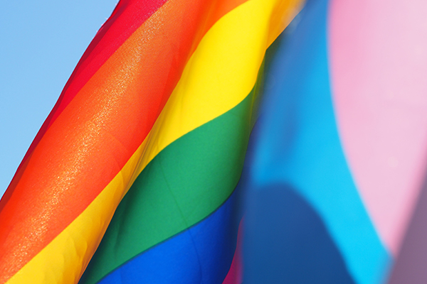A multicolored Pride Flag representing the LGBTQIA+ community.